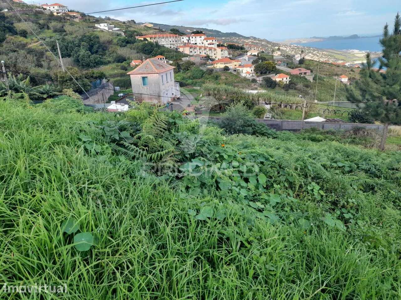 Terreno Rústico 2470m2 em Gaula - Grande imagem: 2/6