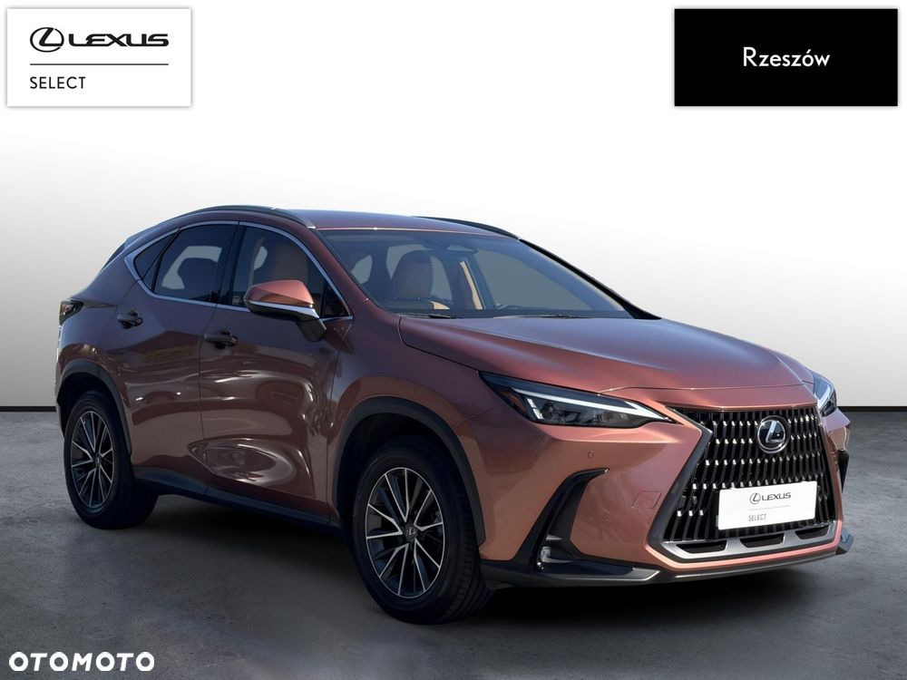 Lexus NX 350h Prestige AWD - 7