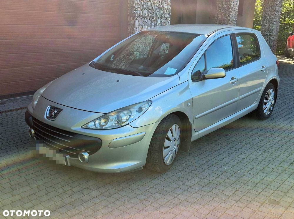 Peugeot 307 - 7