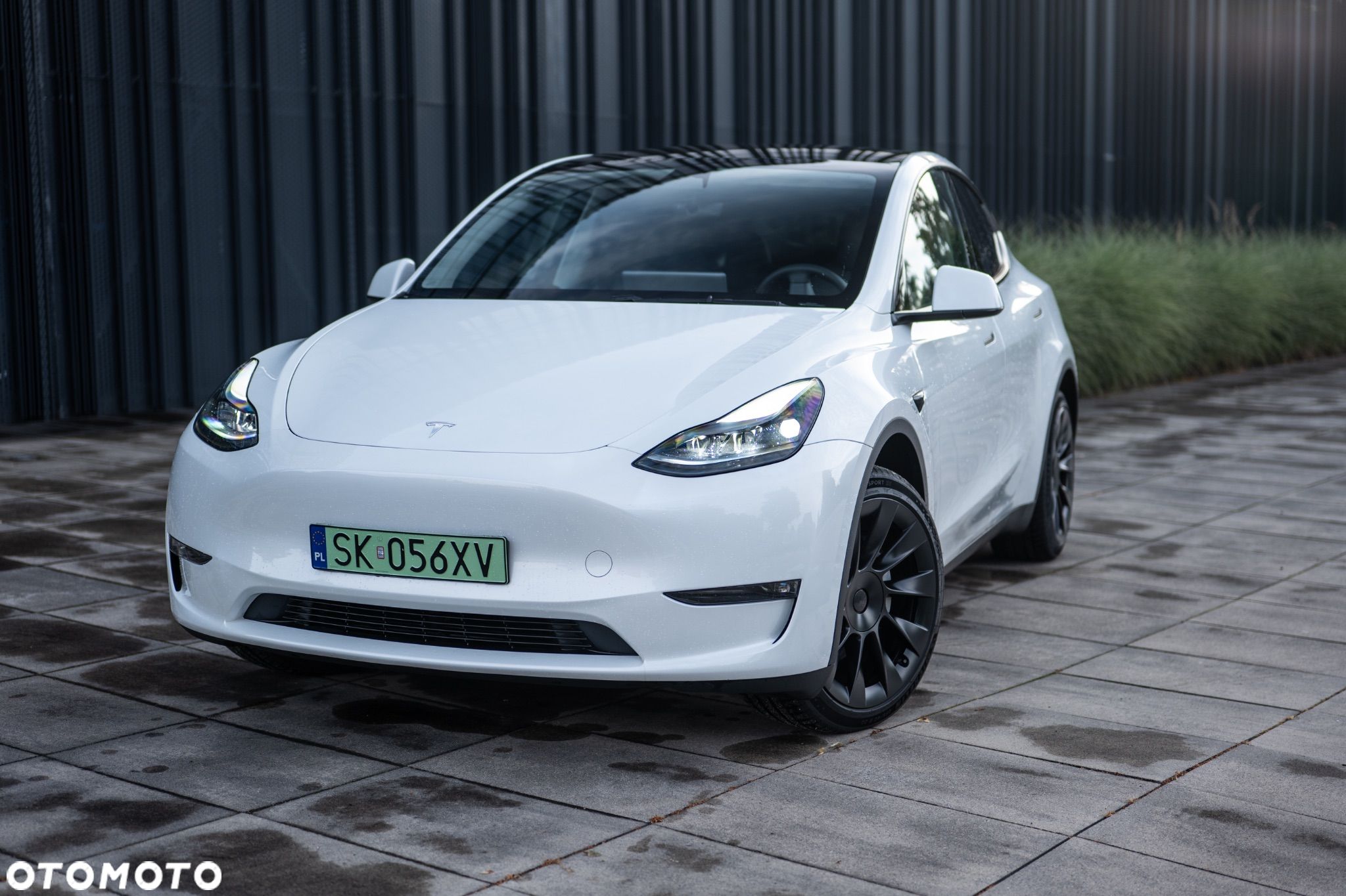 Tesla Y Long Range AWD - 1