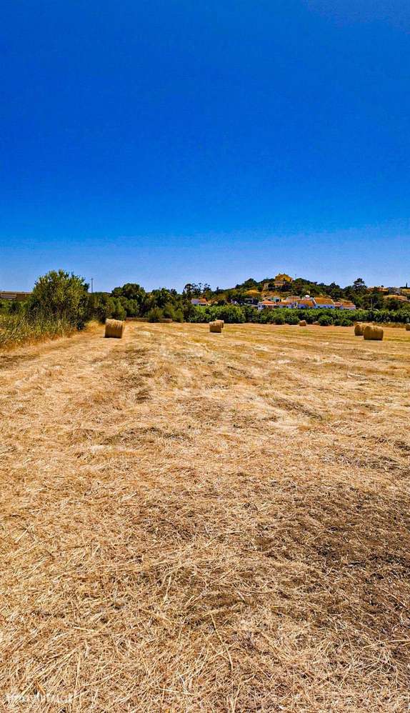 Oportunidade! Terreno Rústico de 6.440 m² em Algoz – Silves - Grande imagem: 3/34