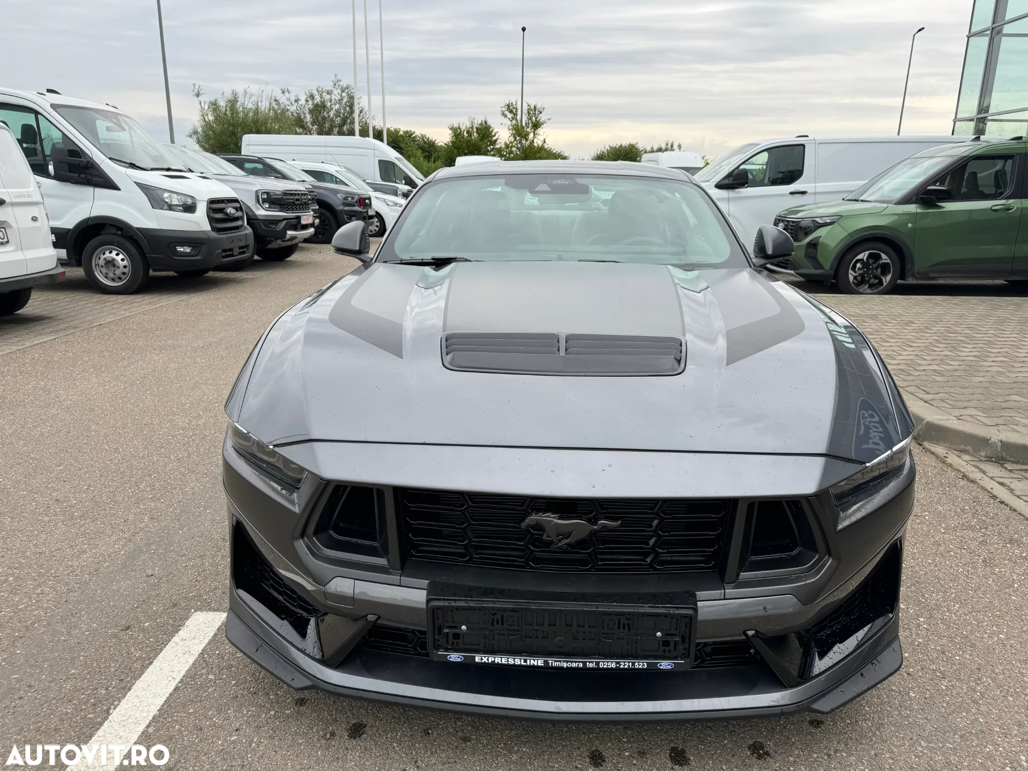 Ford Mustang - 16