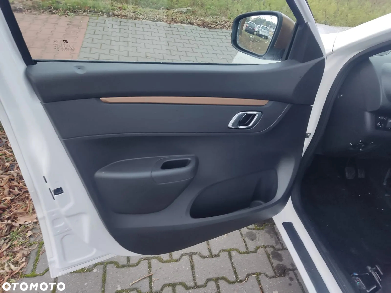 Dacia Spring - 20