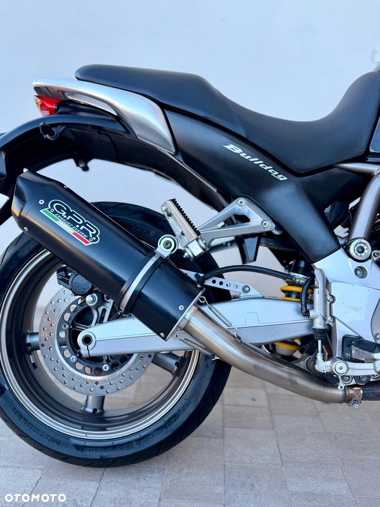 Yamaha Bulldog - 3