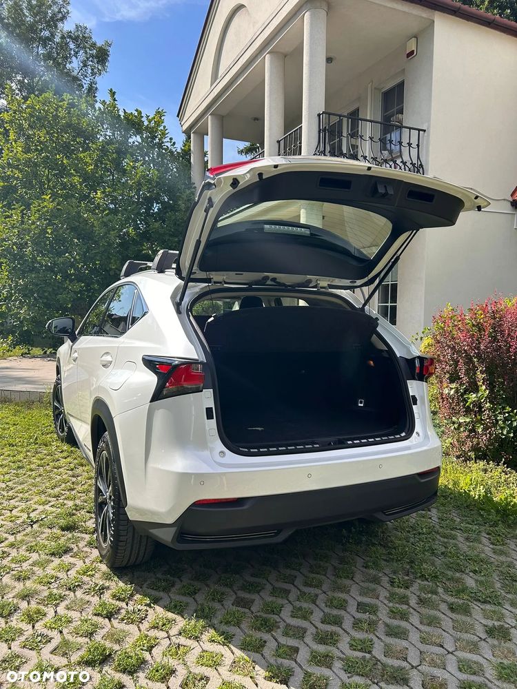Lexus NX - 14