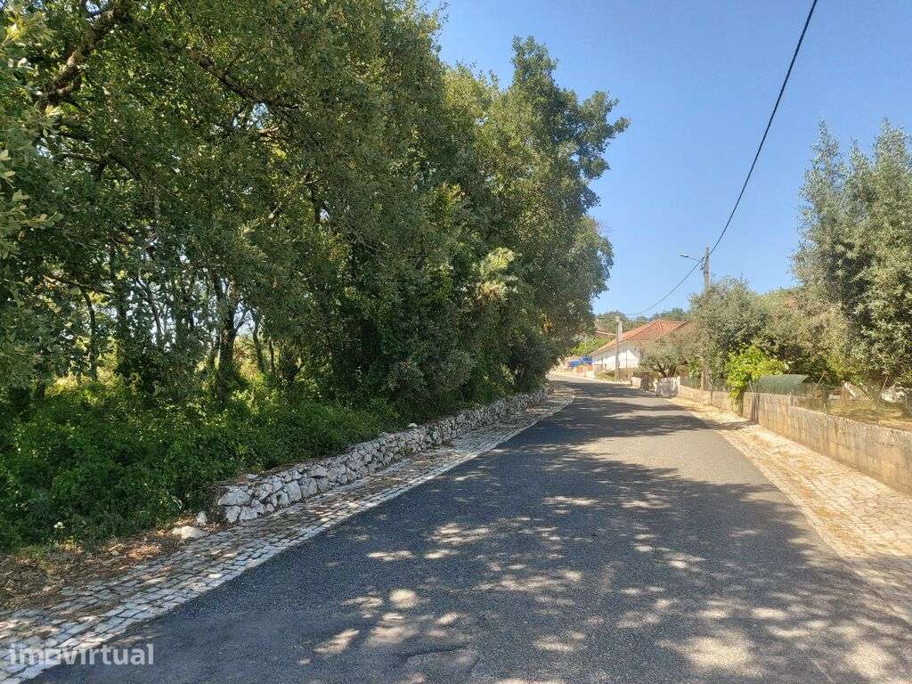 Terreno misto em Alvados e Alcaria - Grande imagem: 4/5