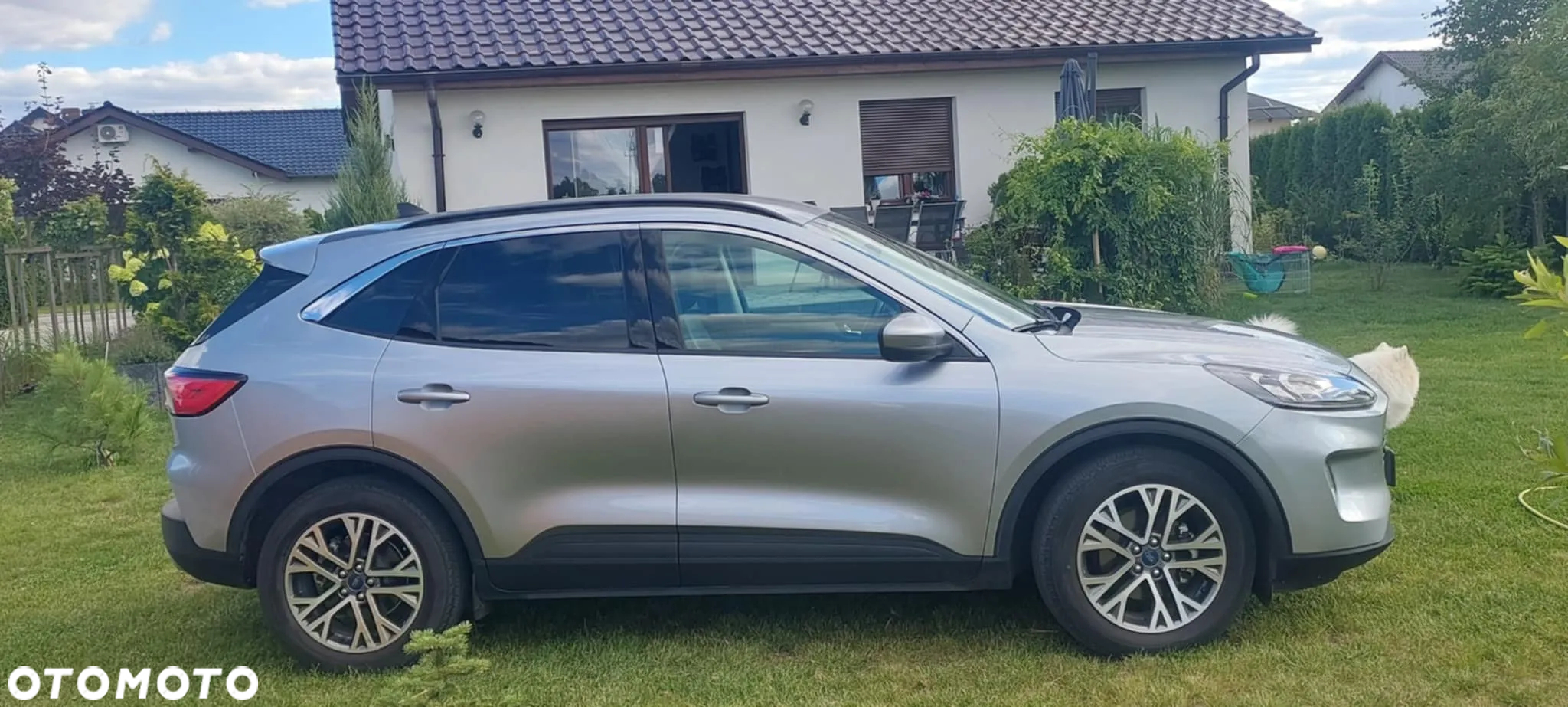 Ford Escape 1.5 EcoBoost AWD SE - 10