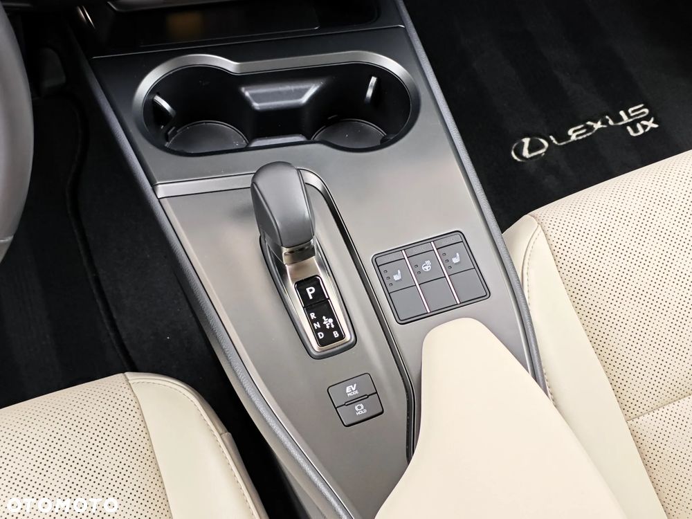 Lexus UX 300h Prestige AWD - 24