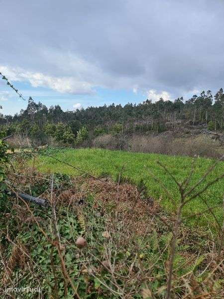 Quinta Agrícola a 5 minutos da A25 - Grande imagem: 4/7