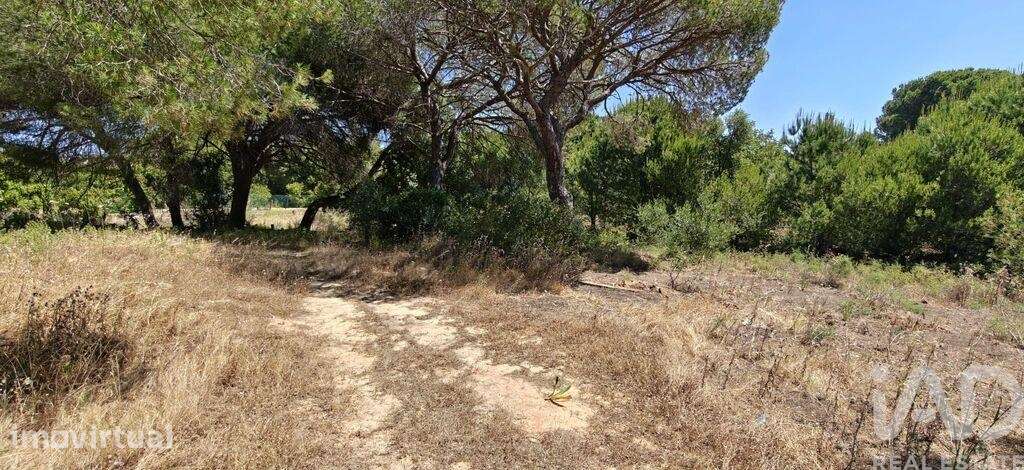 Terreno Agrícola em Quarteira - Grande imagem: 5/18