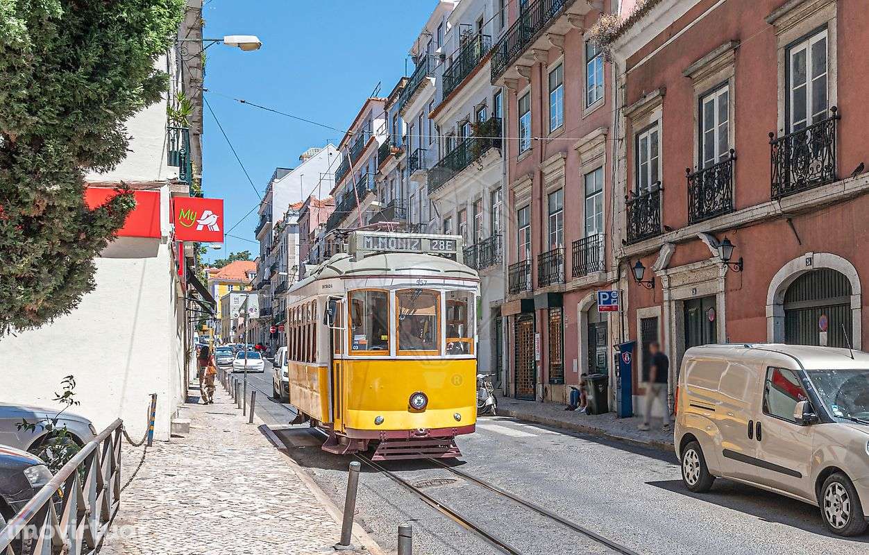 Duplex T1 para arrendamento - Grande imagem: 3/21