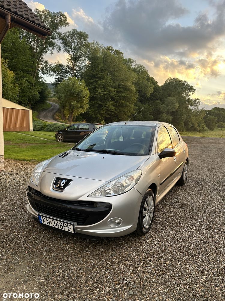 Peugeot 206 plus - 1