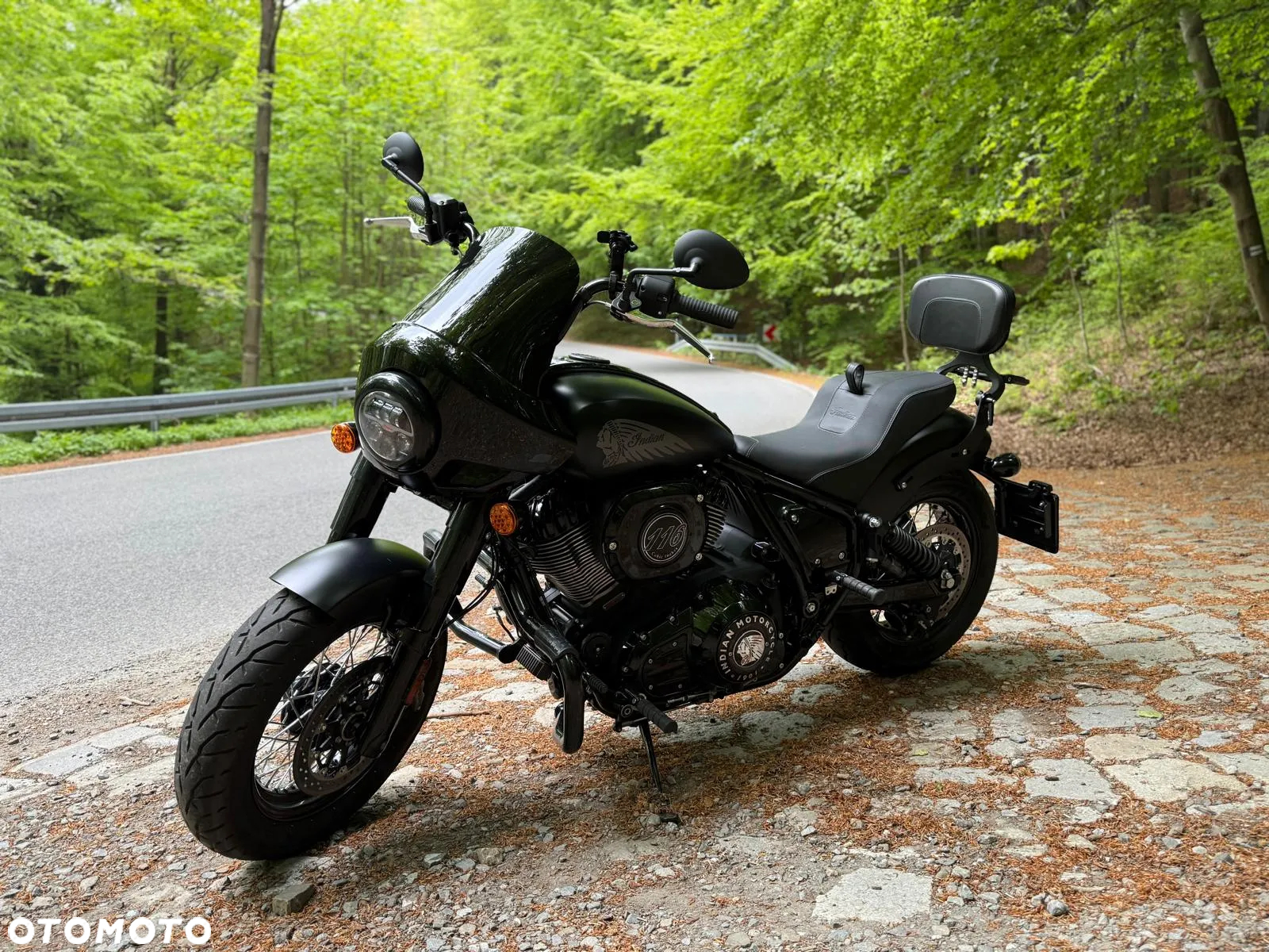 Indian Chief - 15