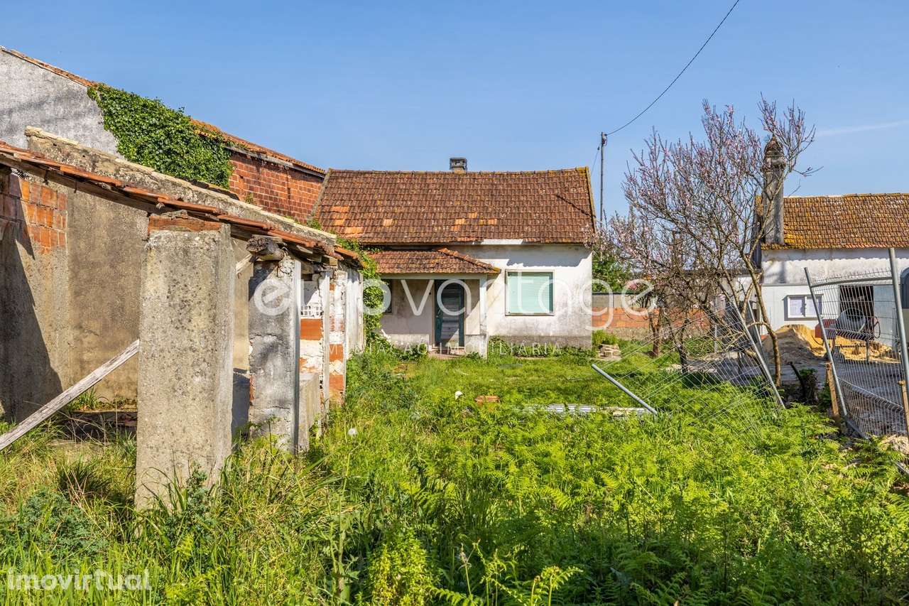 Moradia para Restauro - Parceiros - Leiria - Grande imagem: 3/28