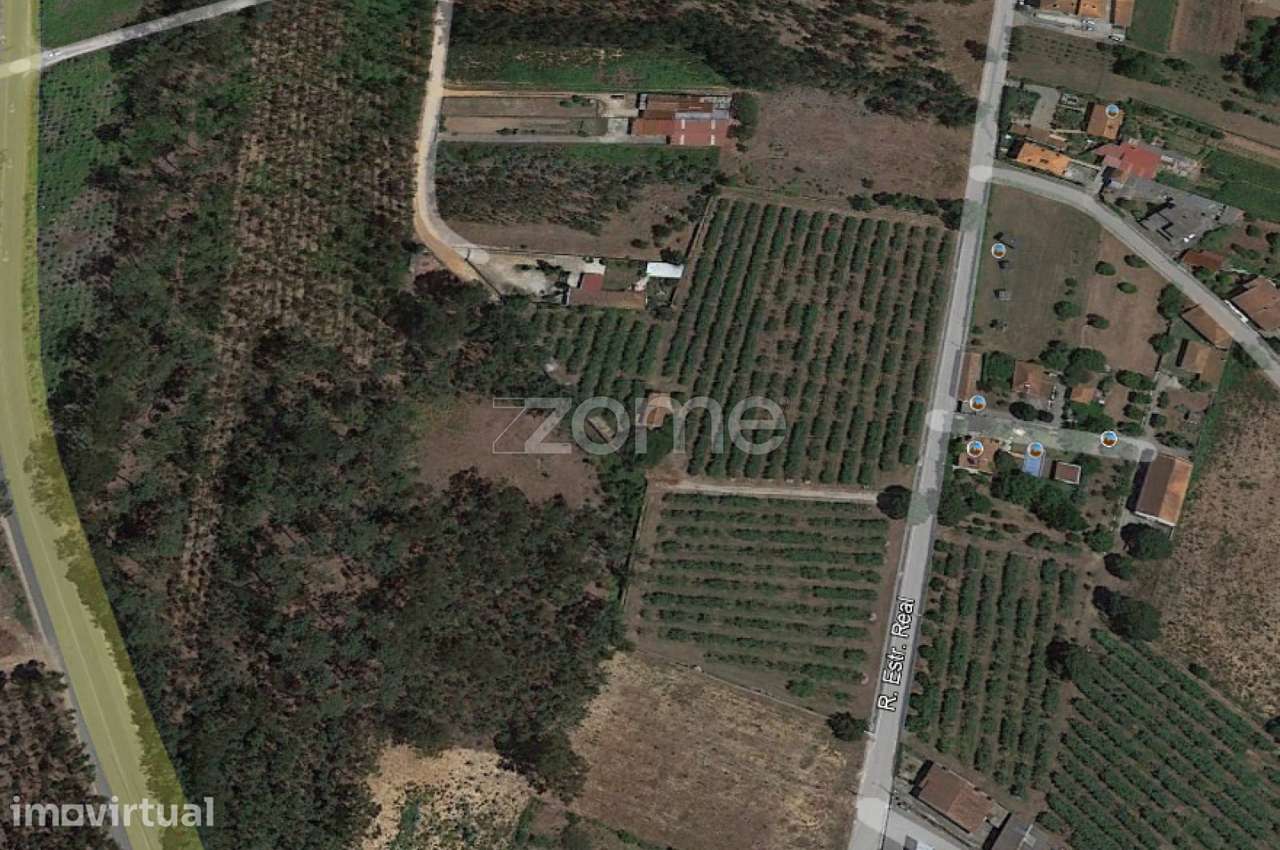 Pinhal, acesso betuminoso, Estrada Real, Recardães, Águeda - Grande imagem: 3/21