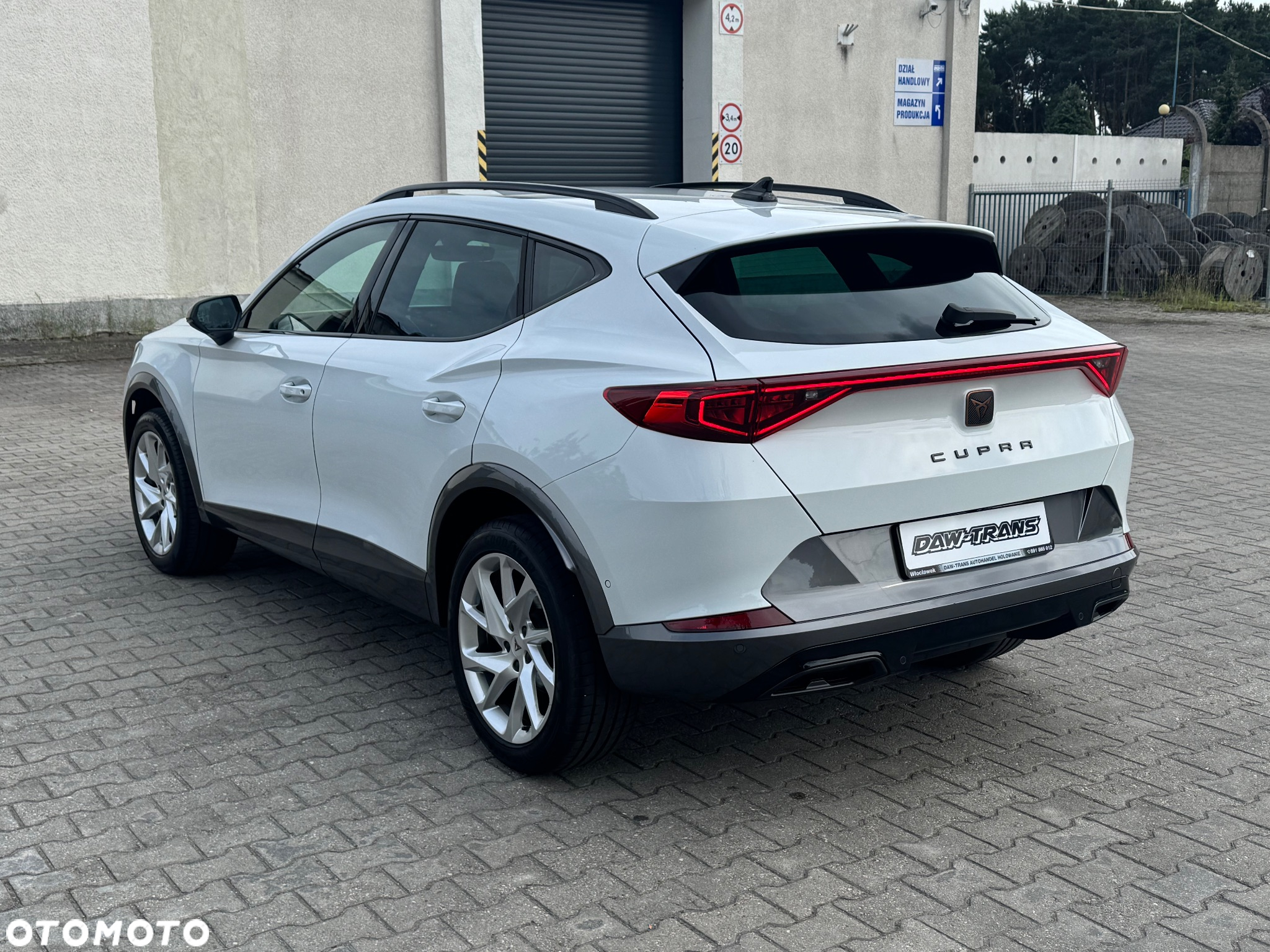 Cupra Formentor 1.5 TSI DSG Tribe Edition - 33