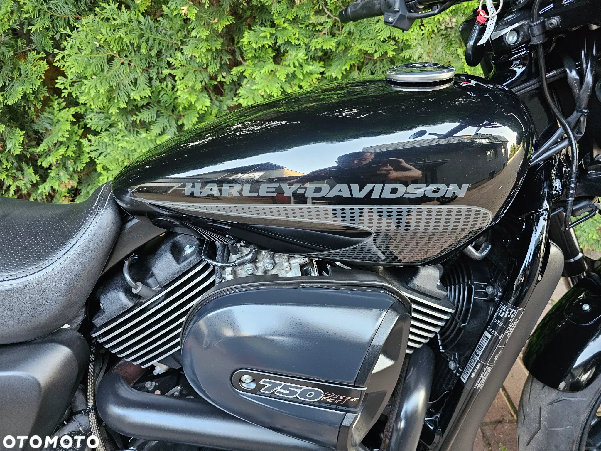 Harley-Davidson Street Rod XG 750A - 7