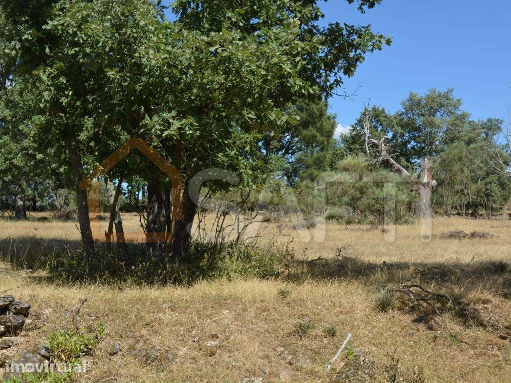 Terreno à venda em Casal Cinza - Grande imagem: 2/25
