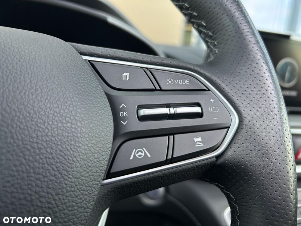 Hyundai Santa Fe 1.6 T-GDI HEV Platinum 4WD - 30