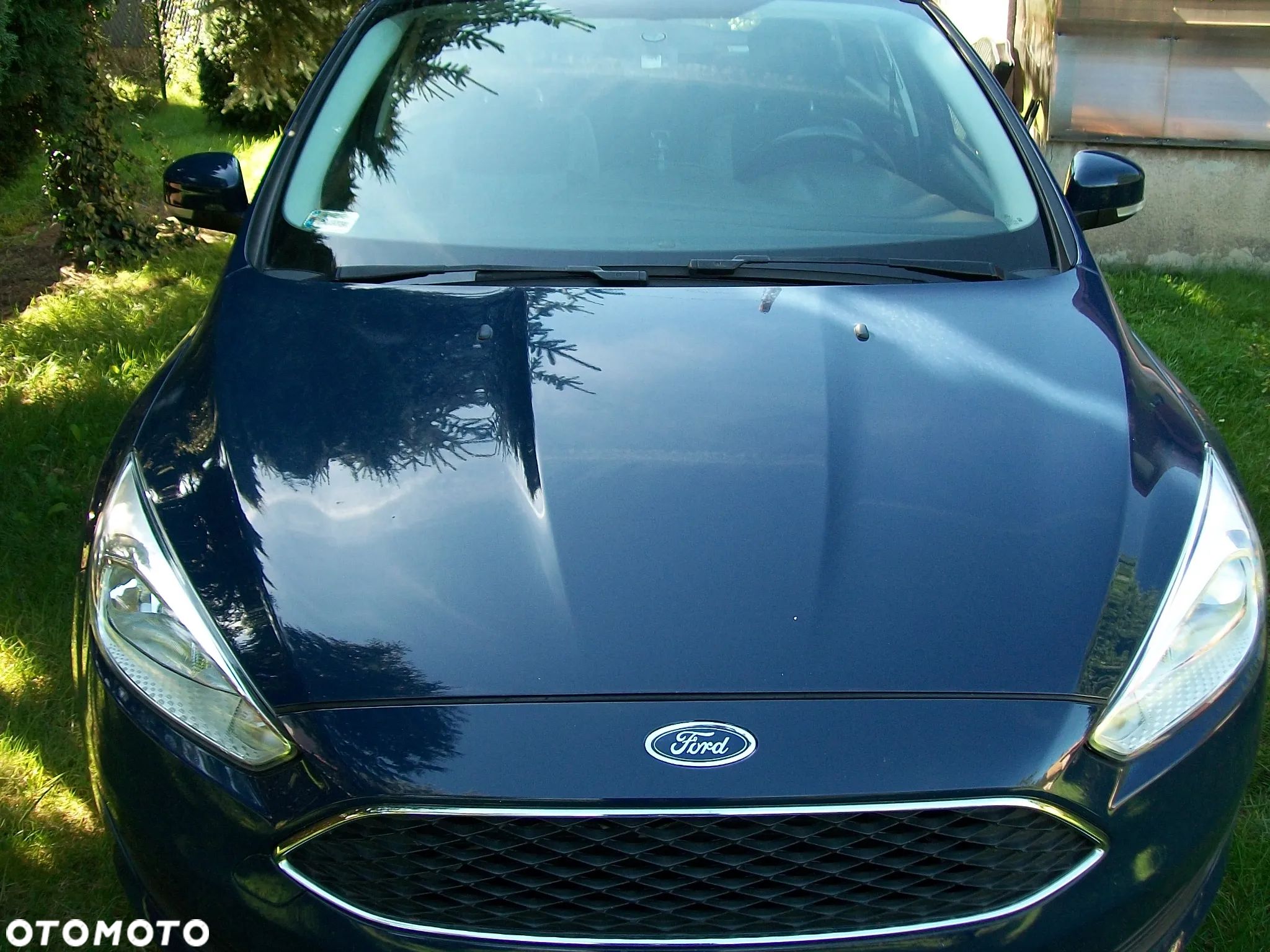 Ford Focus - 1