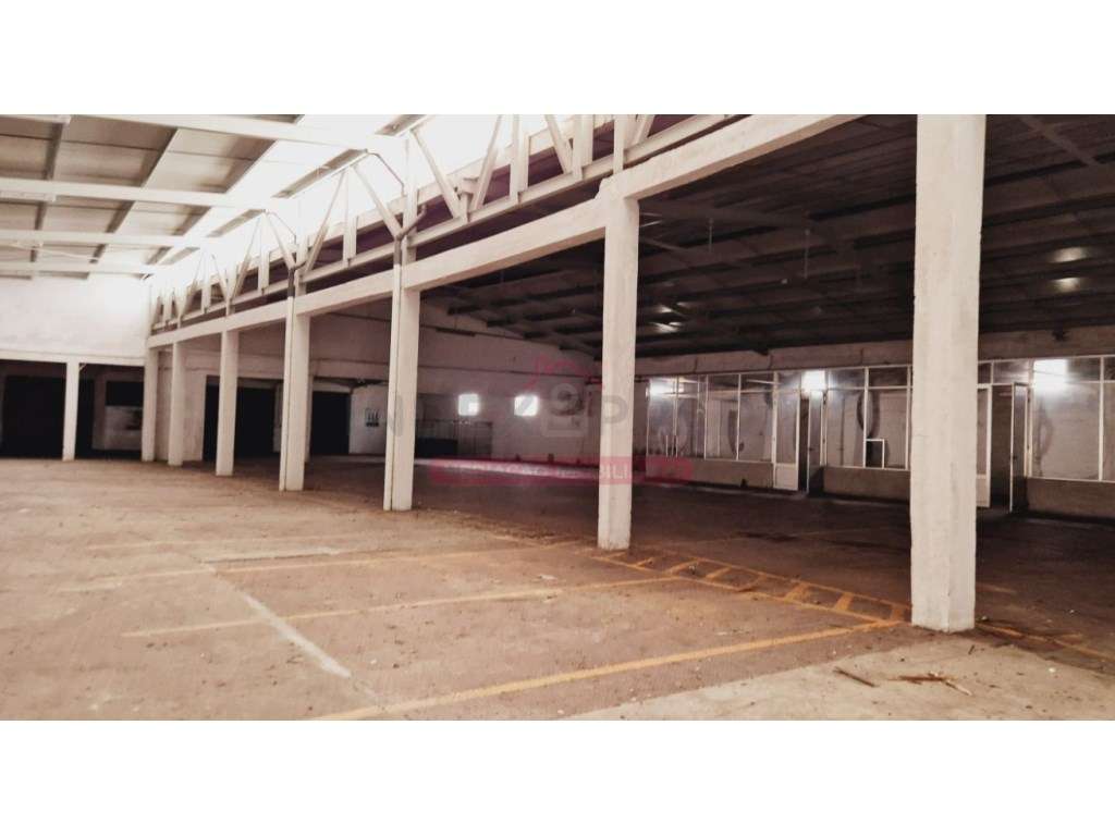 Armazém - Caves - Anadia - Grande imagem: 2/43