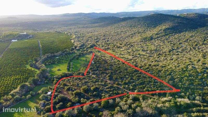 Terreno Rustico Algarve 19500m2 - Grande imagem: 2/11