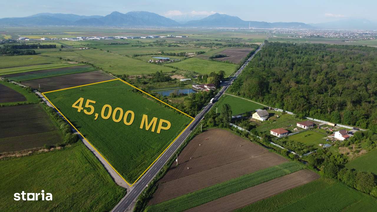 TEREN 45.000 MP | PUZ APROBAT | 156 M FRONT DN11 | PREJMER - BRASOV - Imagine principală: 5/8