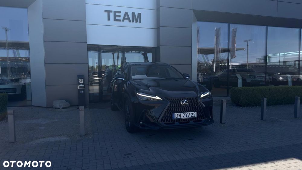 Lexus NX - 10