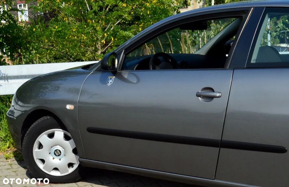 Seat Ibiza - 17