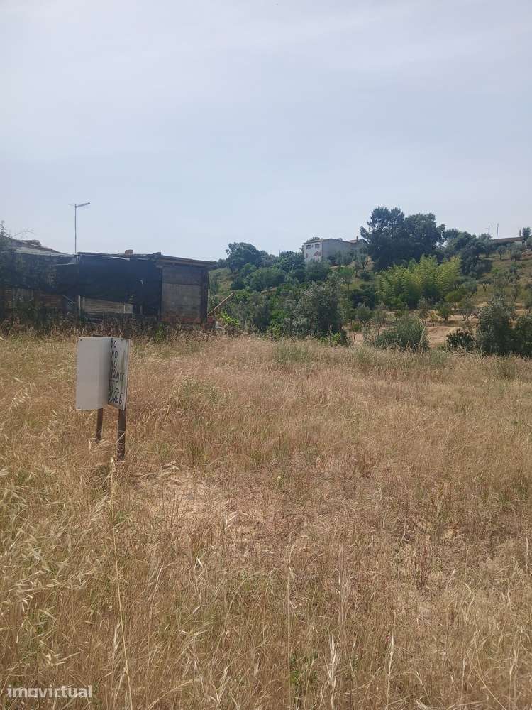 Terreno Urbano no Pinheiro Grande - Chamusca