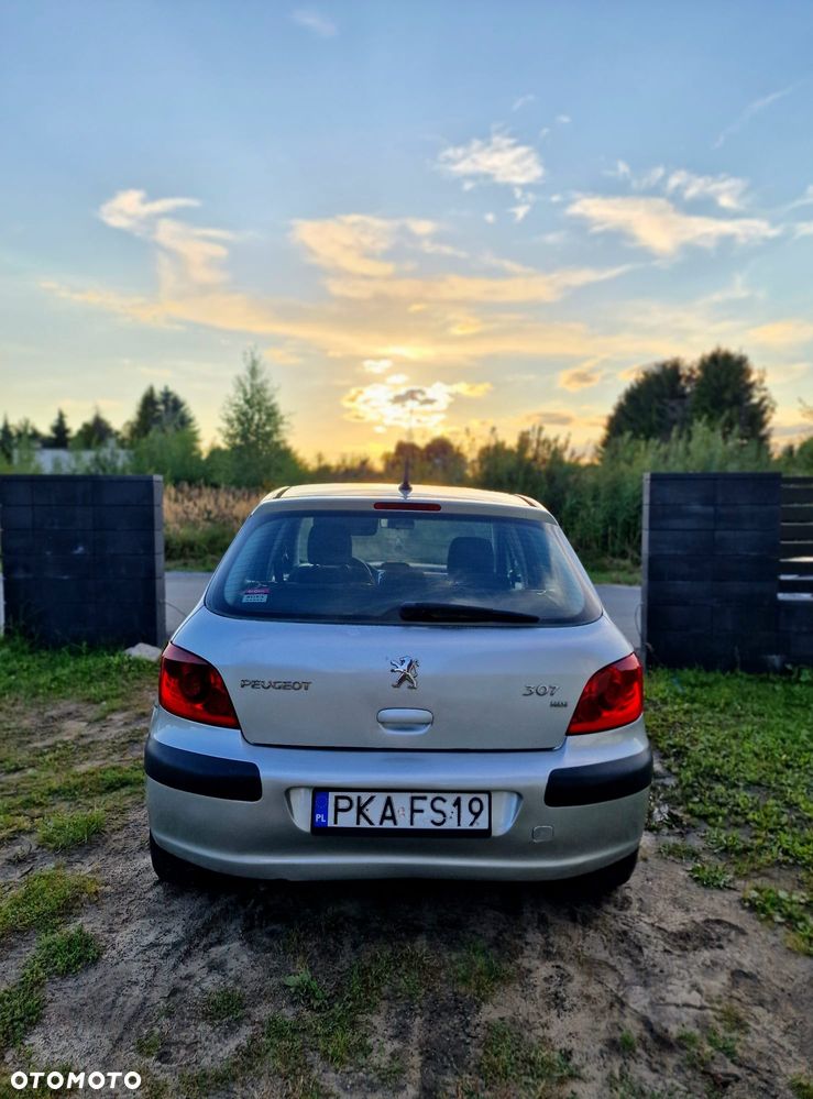 Peugeot 307 - 3