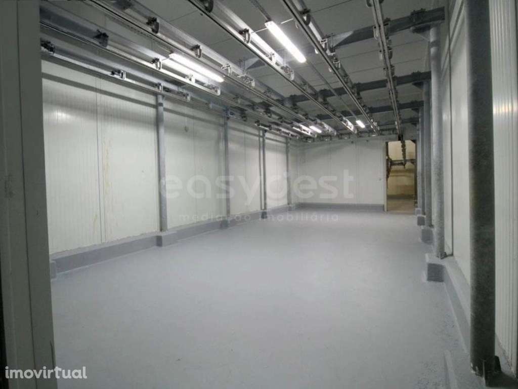 Matadouro Bovino - Grande imagem: 4/25