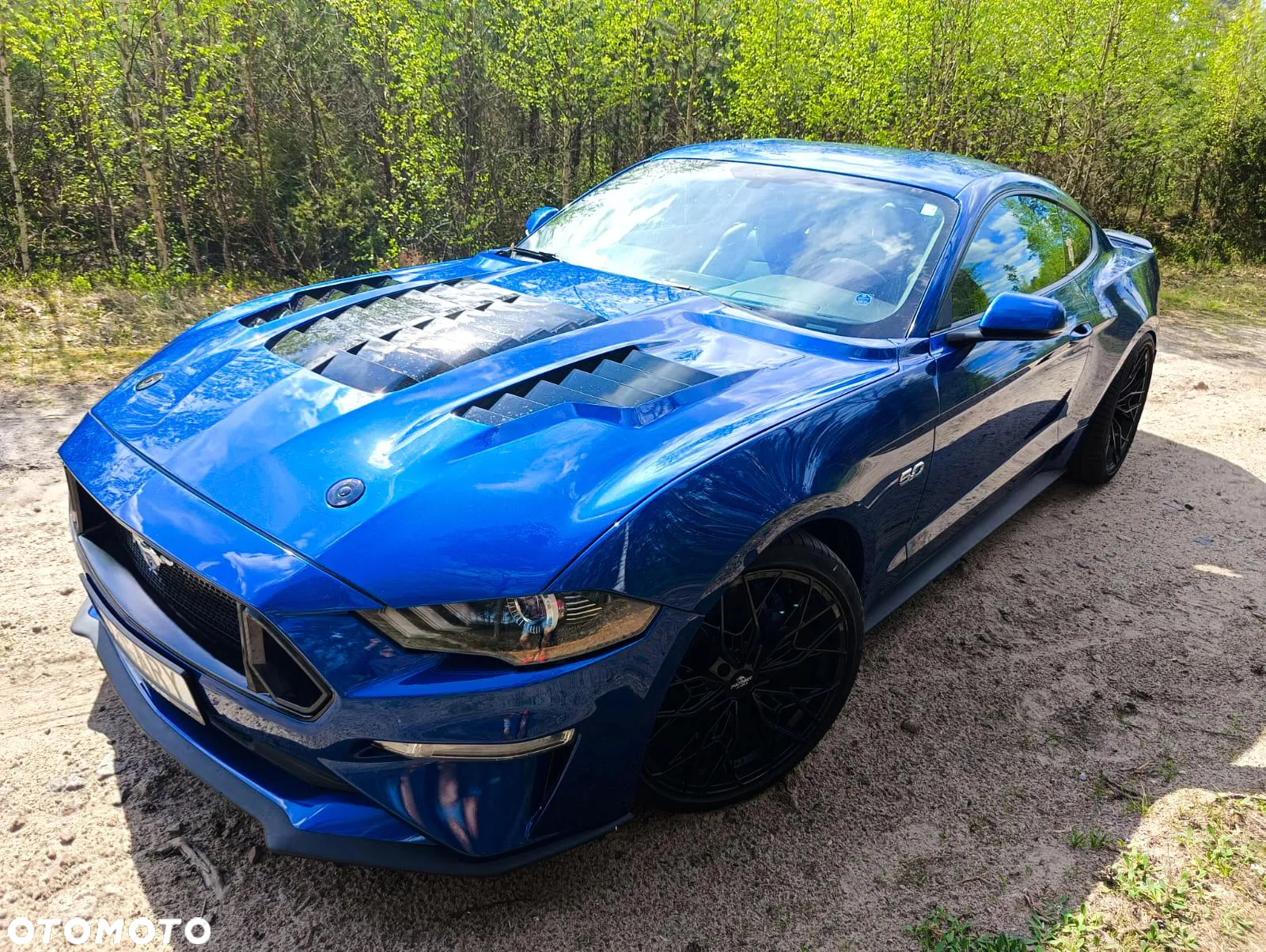 Ford Mustang Fastback 5.0 Ti-VCT V8 MACH1 - 7