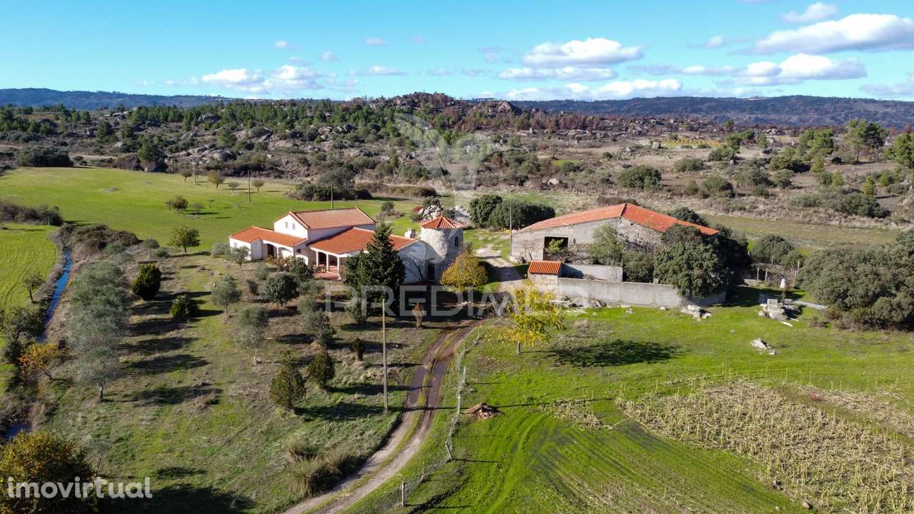 Quinta única com mais de 18 hectares junto a Marialva e ao Douro - Grande imagem: 4/27
