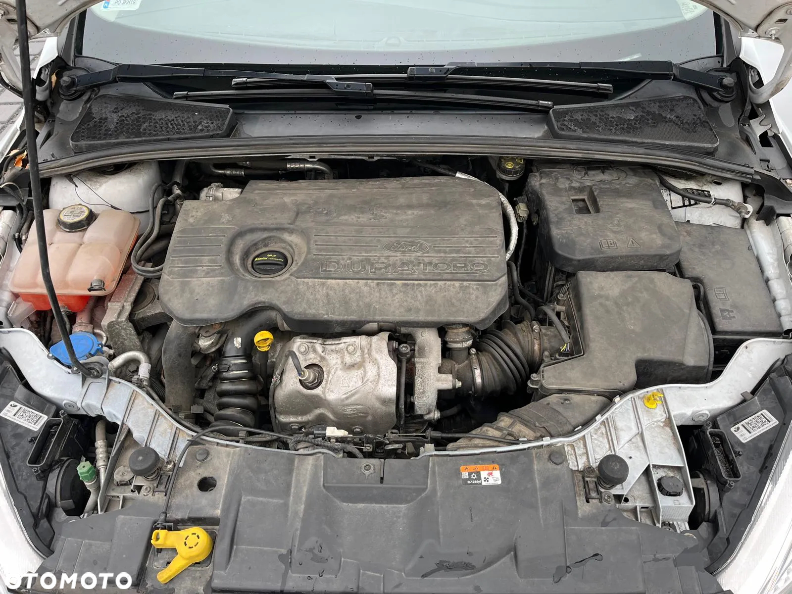 Ford Focus - 10