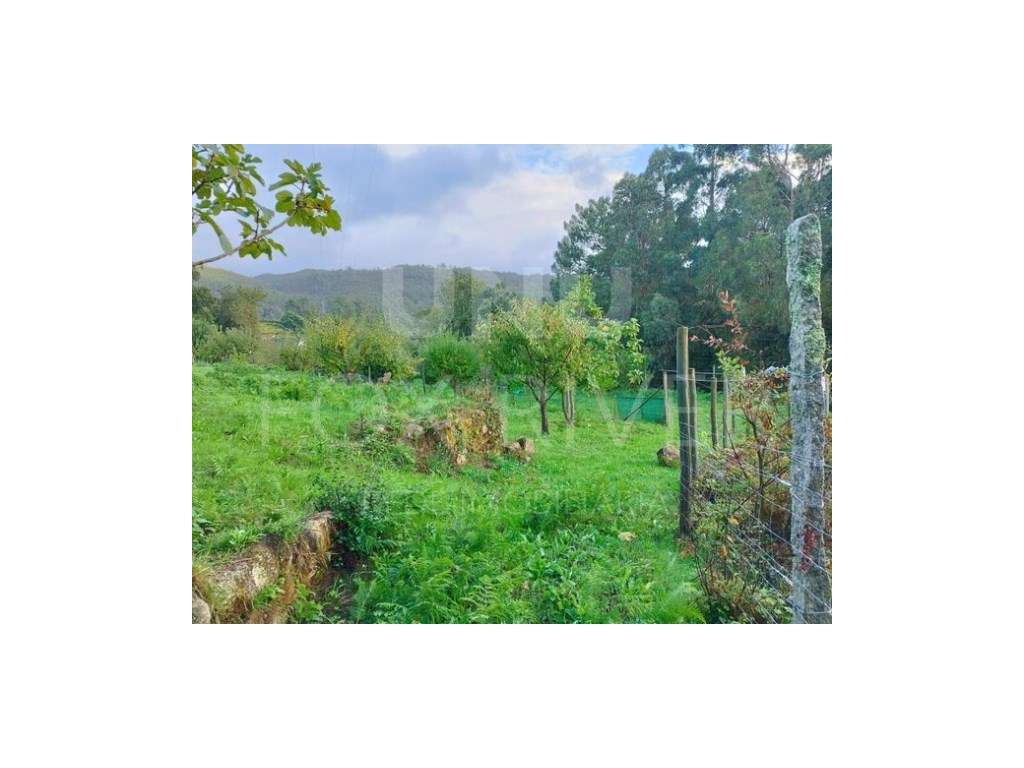 Terreno para Construção em Melgaço - Grande imagem: 5/8
