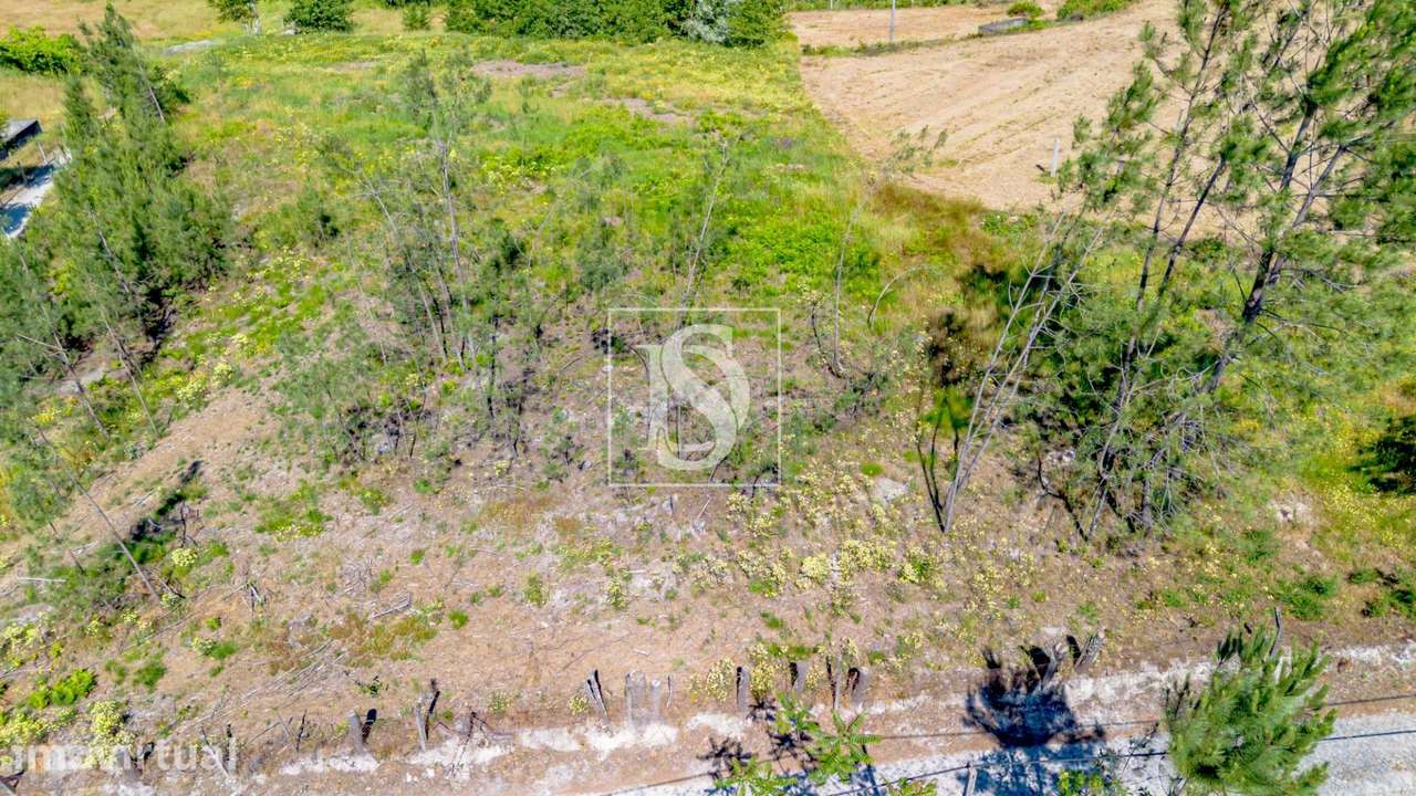 Terreno  Venda em Fregim,Amarante - Grande imagem: 5/23