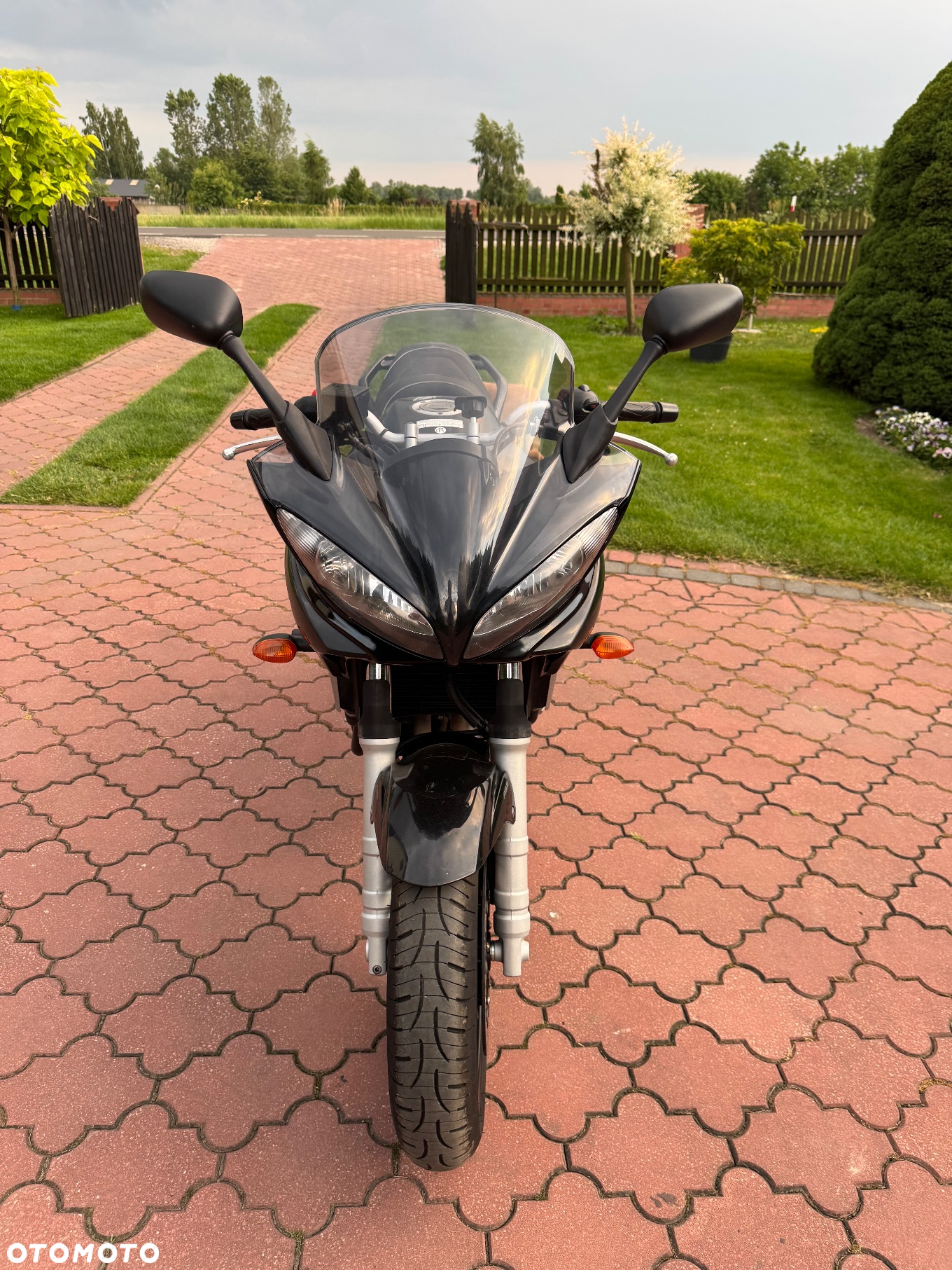 Yamaha FZ6 - 3
