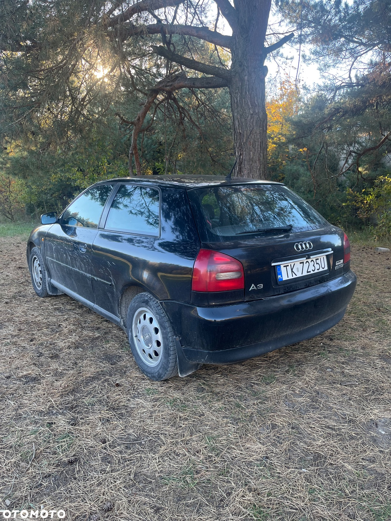 Audi A3 - 3