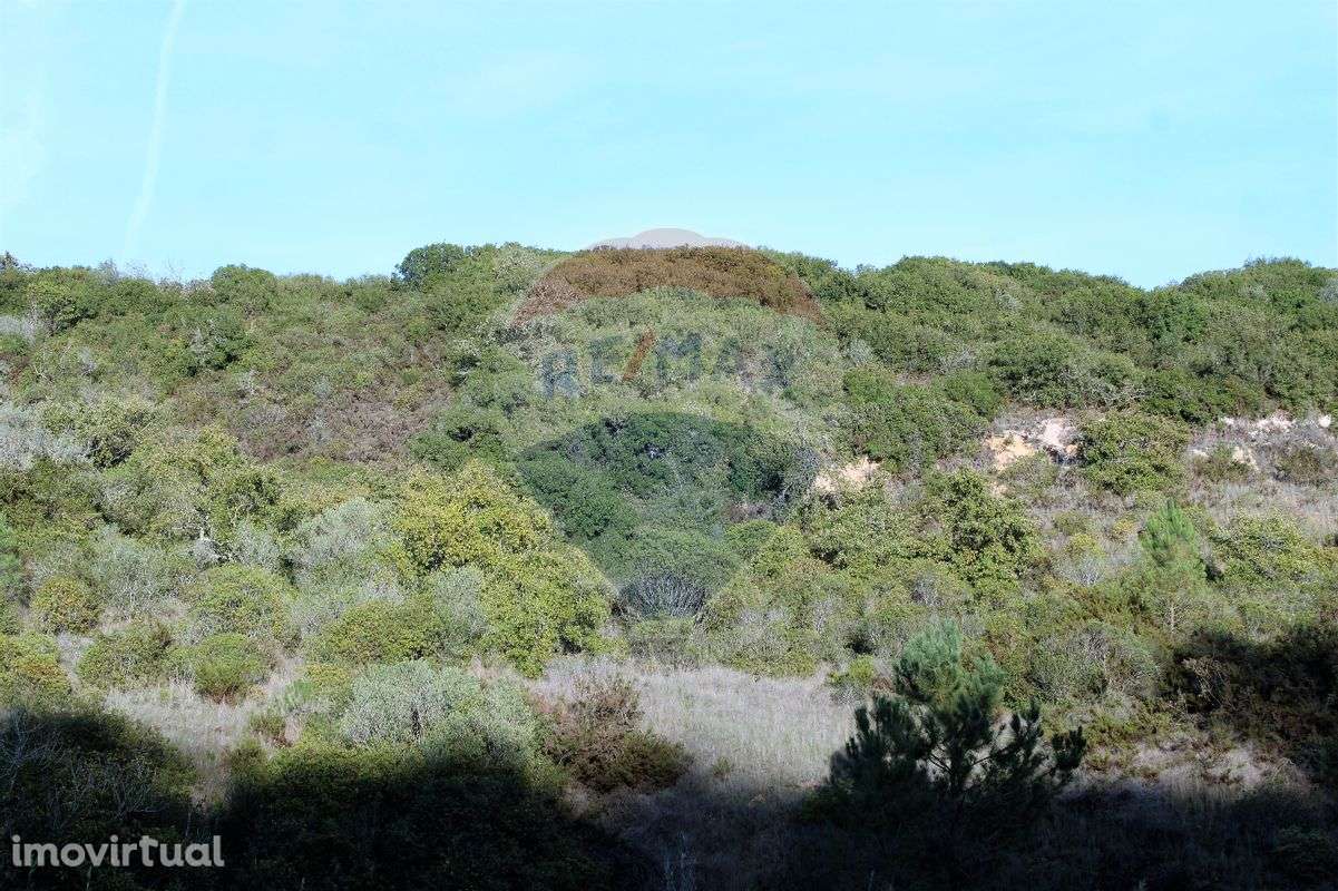 Terreno  para venda - Grande imagem: 3/4