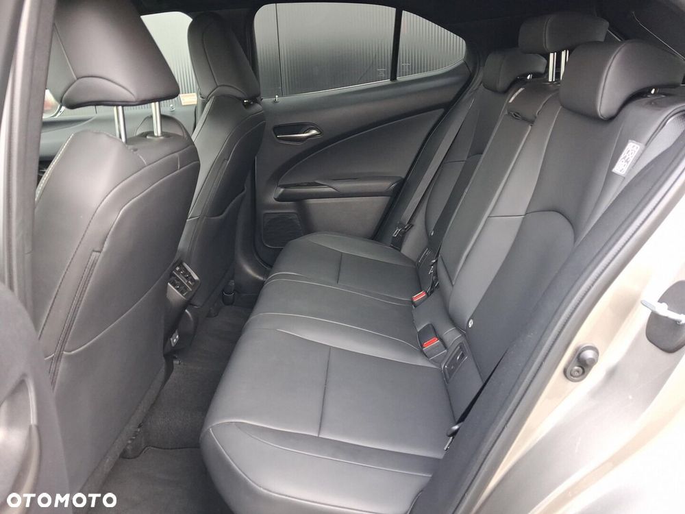 Lexus UX 250h GPF F Sport Design 2WD - 17