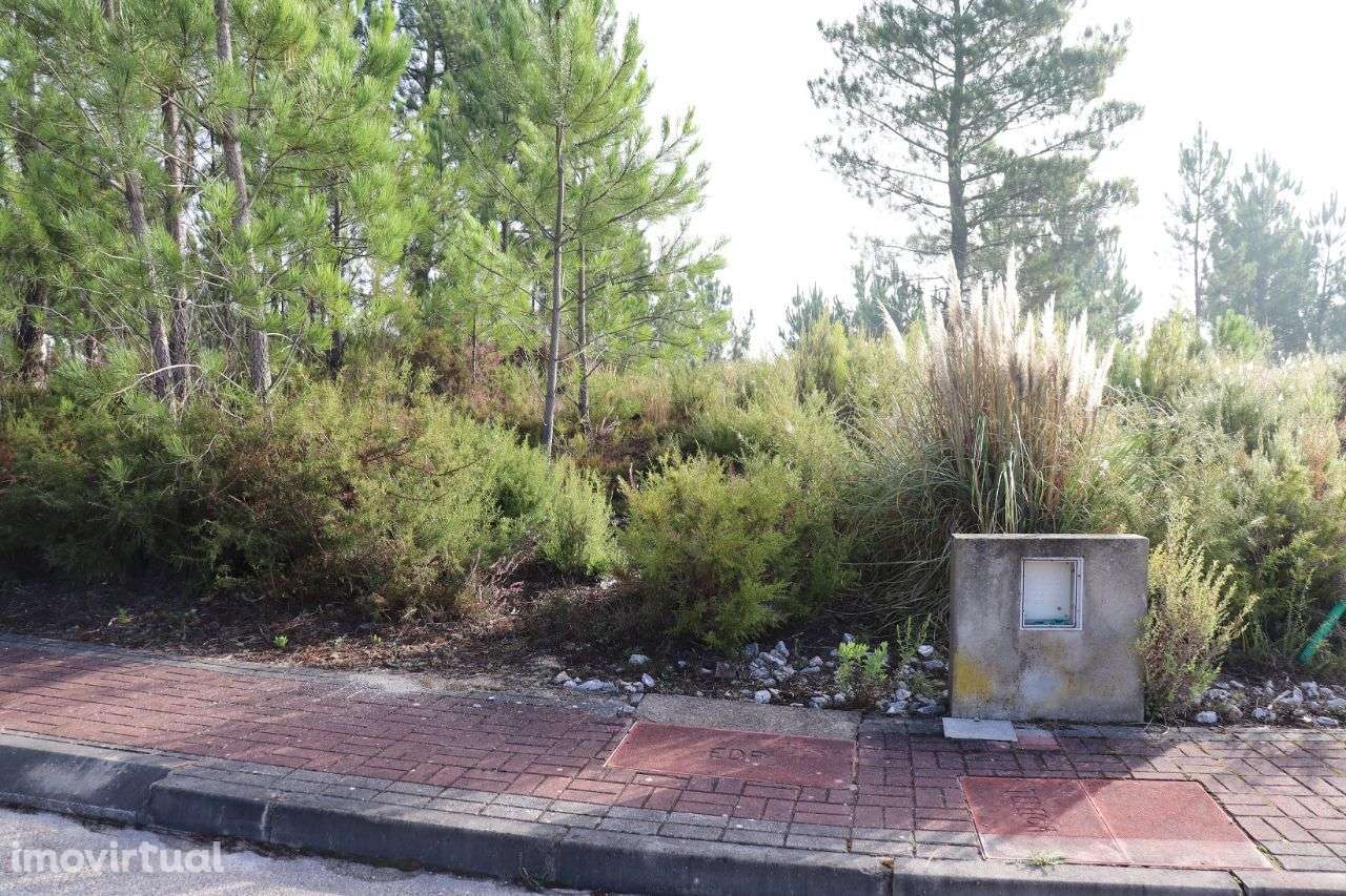 Lote - Grande imagem: 2/5