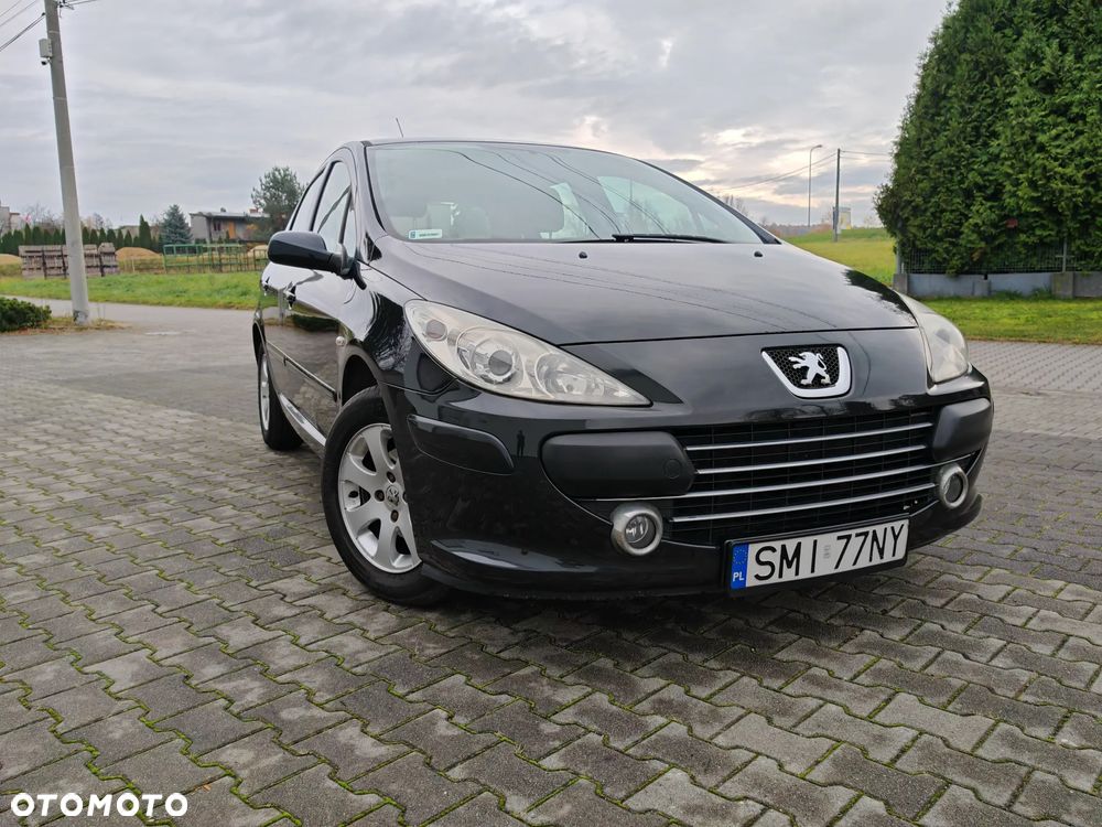 Peugeot 307 1.6 Sporty - 1