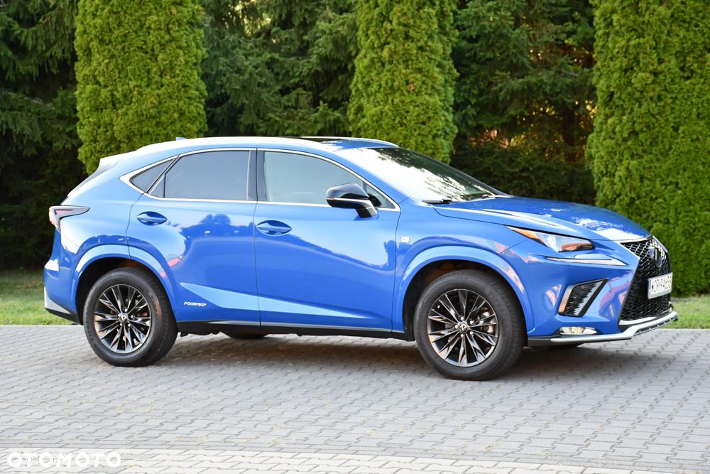 Lexus NX 300h E-FOUR F SPORT - 13