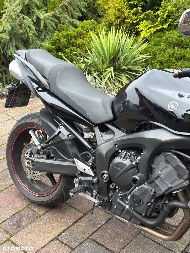 Yamaha FZ6 - 5