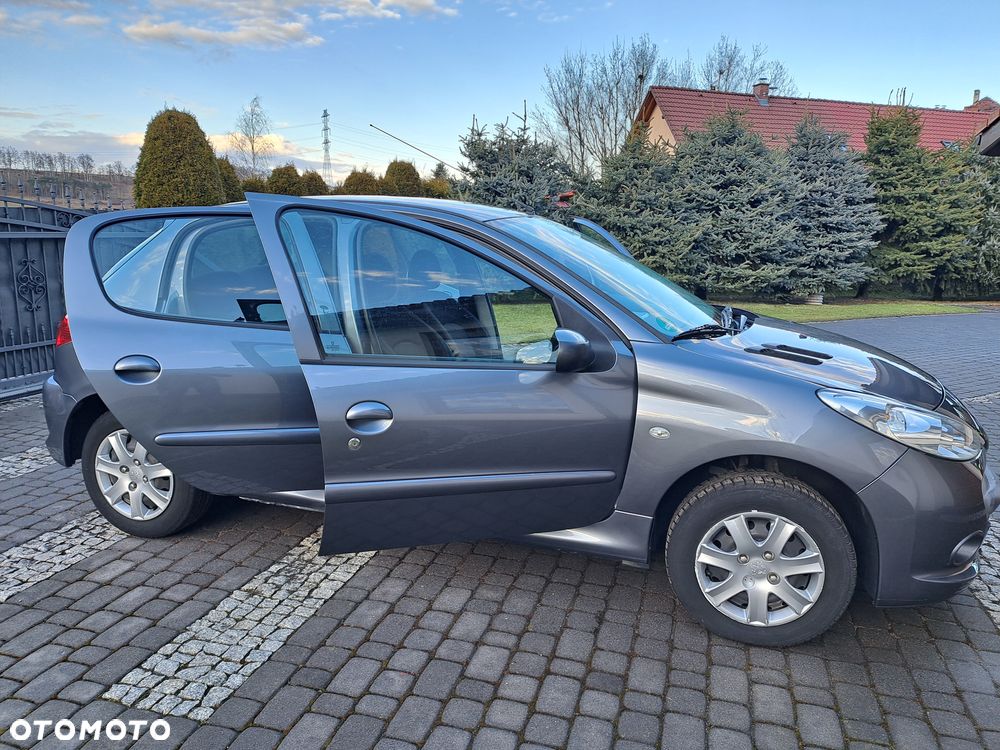 Peugeot 206 plus 60 - 21