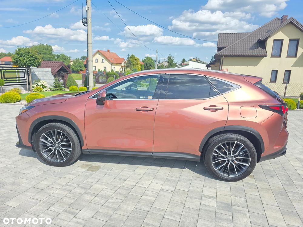 Lexus NX 350h Omotenashi AWD - 5