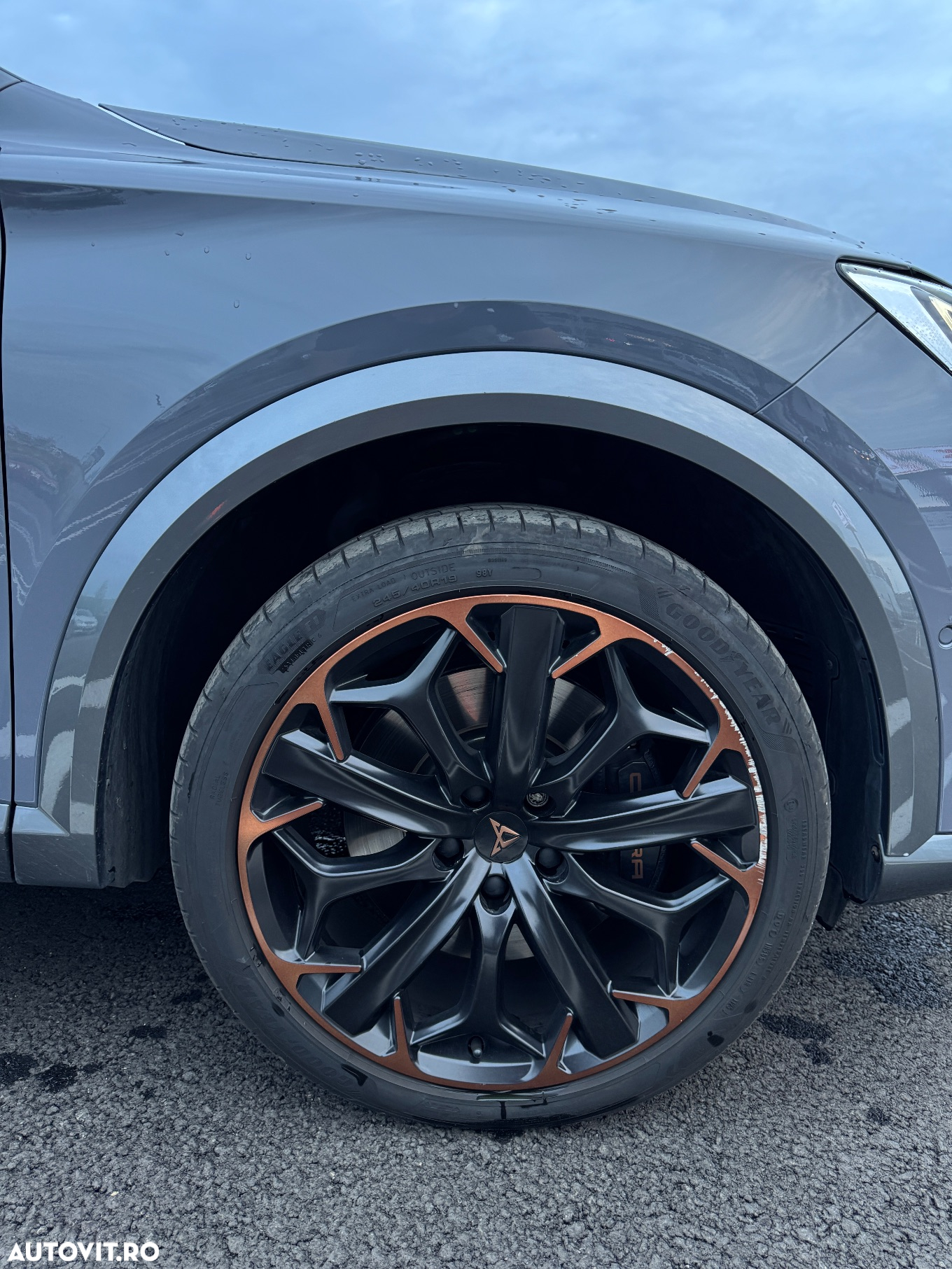 Cupra Formentor VZ 2.0 TSI 4DRIVE DSG - 9