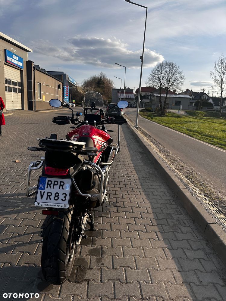 Triumph Tiger - 6