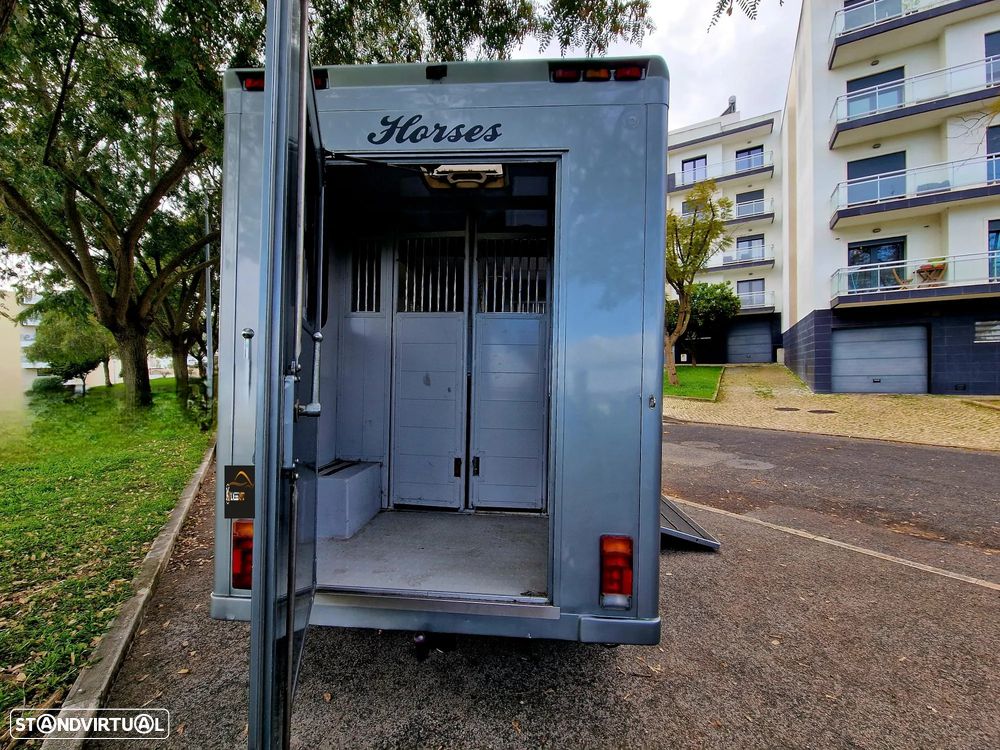 Renault MASTER - TRANSPORTE CAVALOS - 9